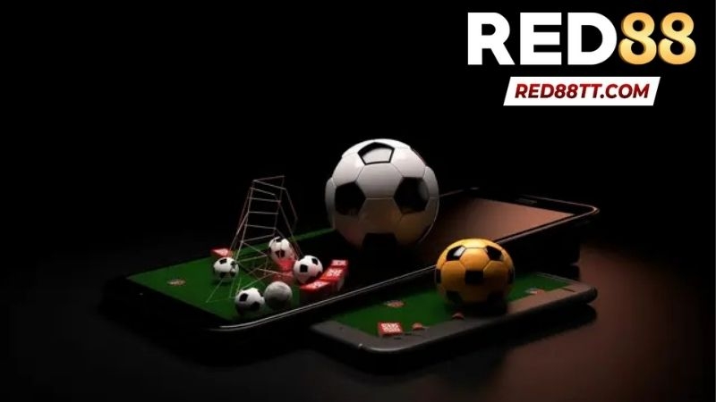 Sảnh Thể Thao C-Sports